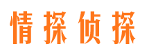 河南捉小三公司